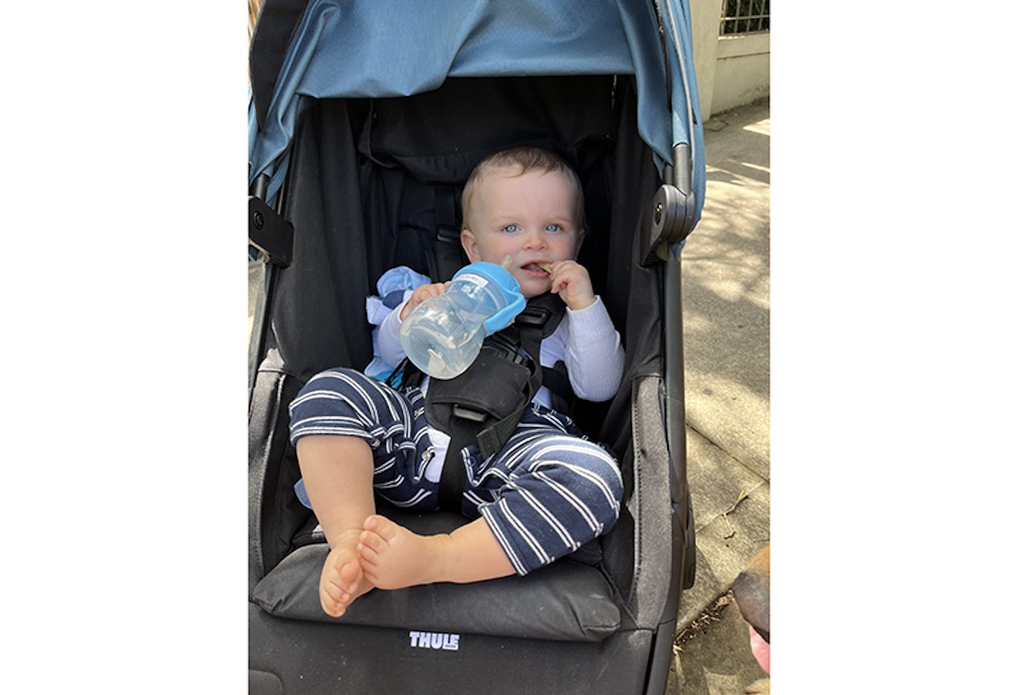 louis in pushchair at beach