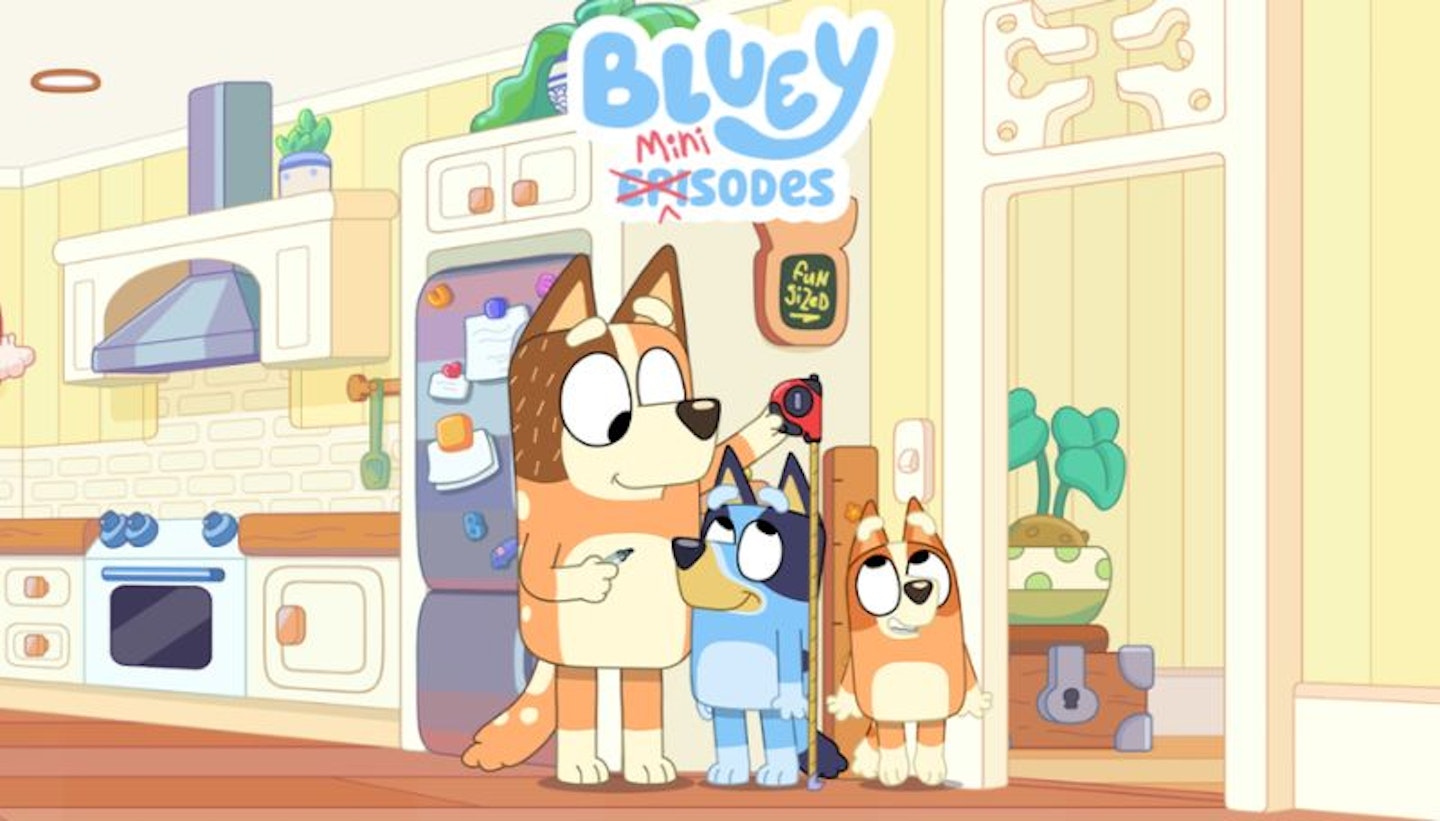 Bluey Bingo and Chilli Heeler in a Bluey Minisode announcement