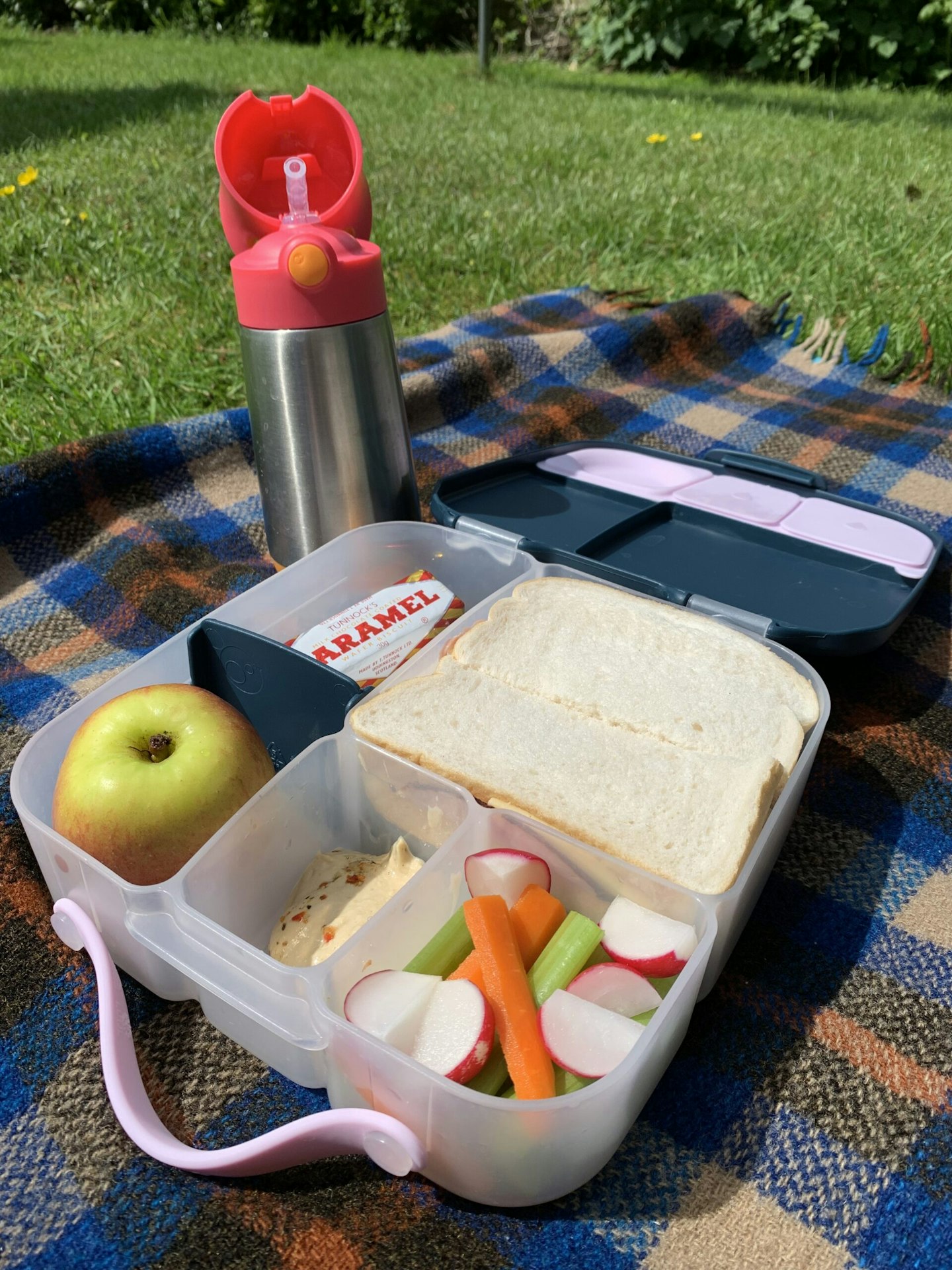 b.box being used on a picnic