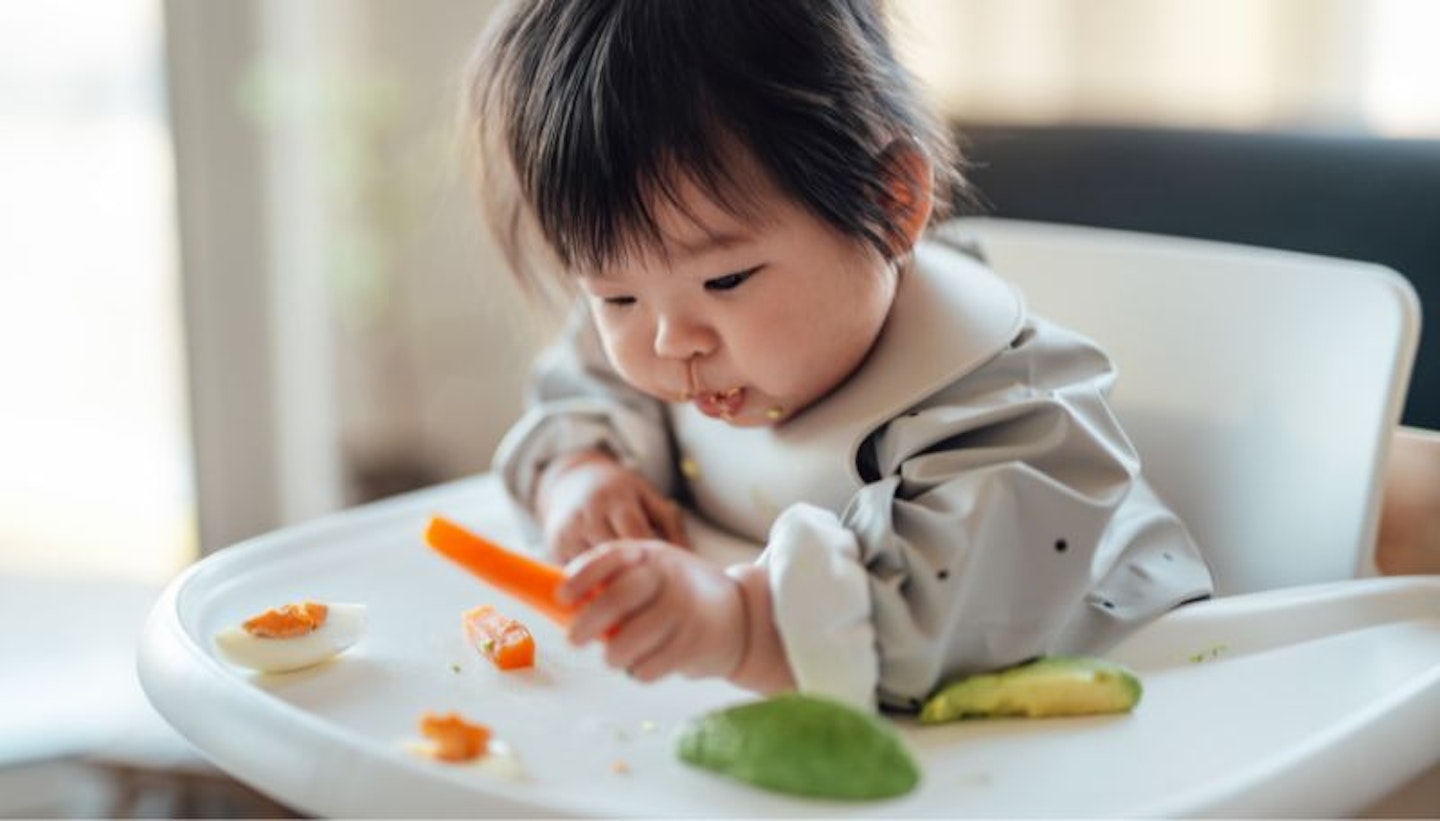 Baby led weaning first foods