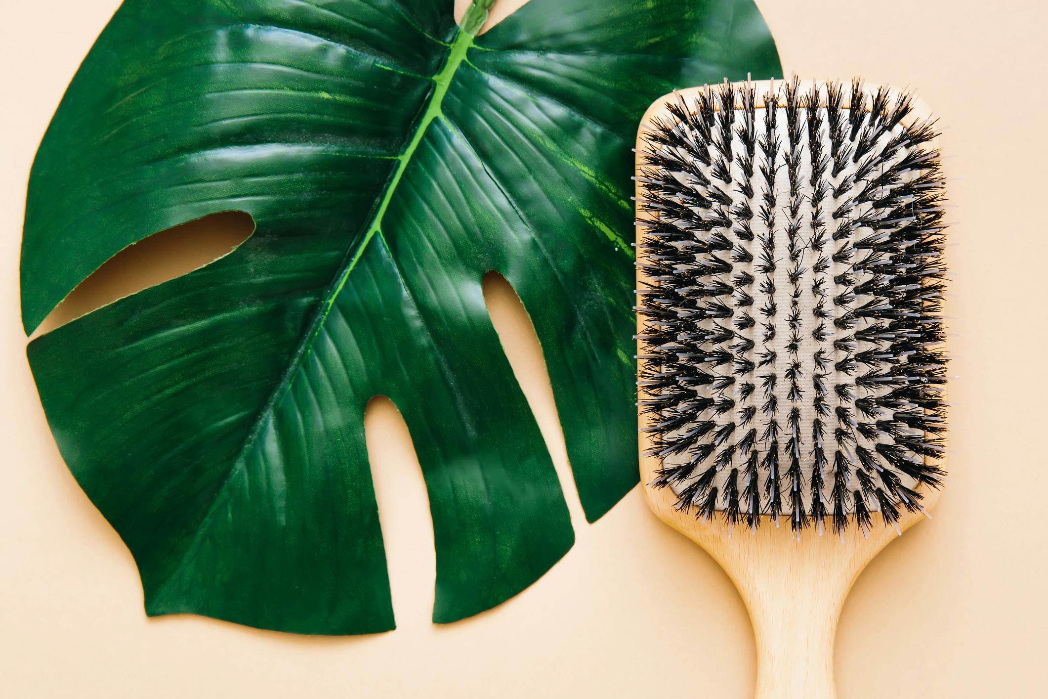 The best ecofriendly hair brushes