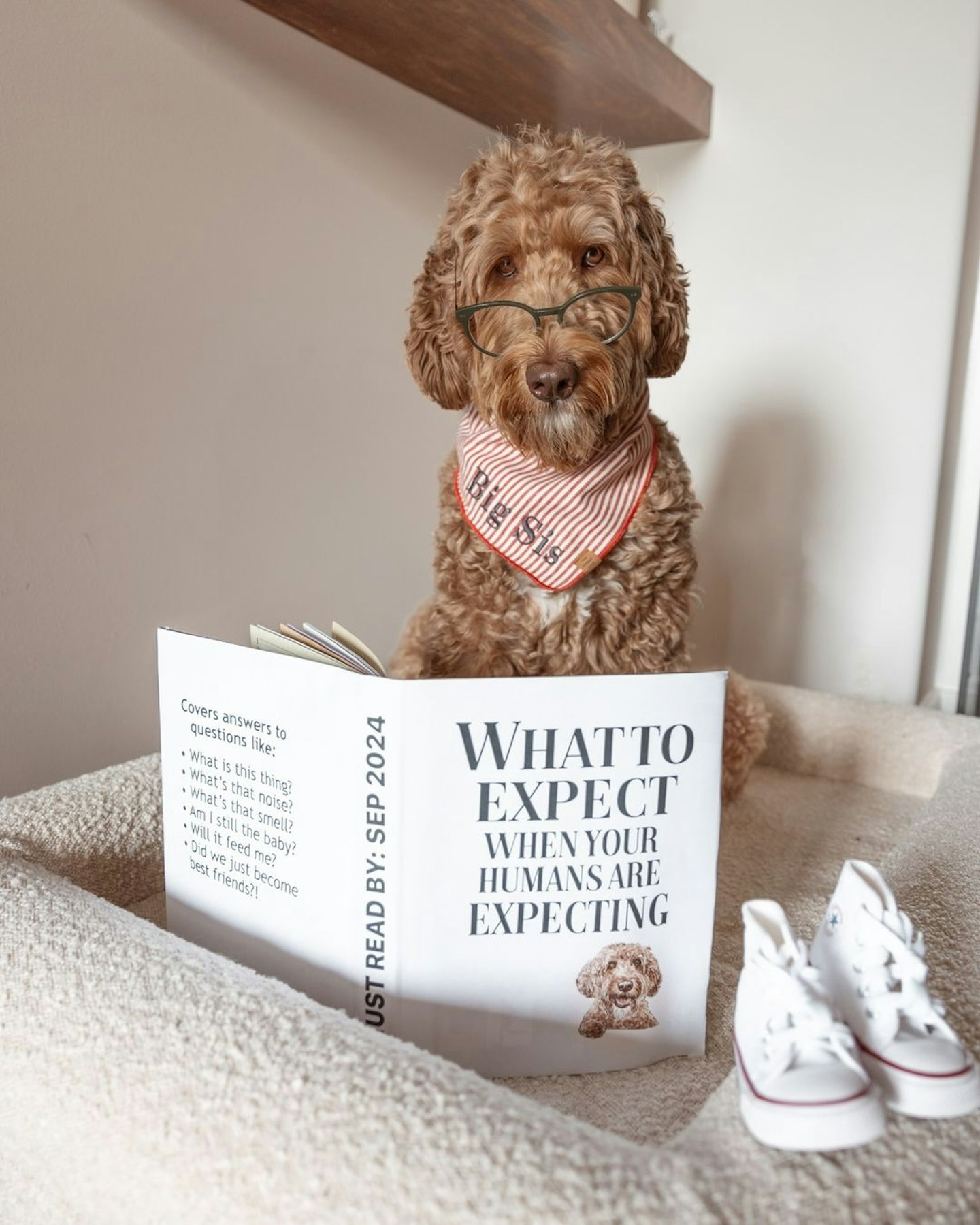 Funny Pregnancy Announcement Captions