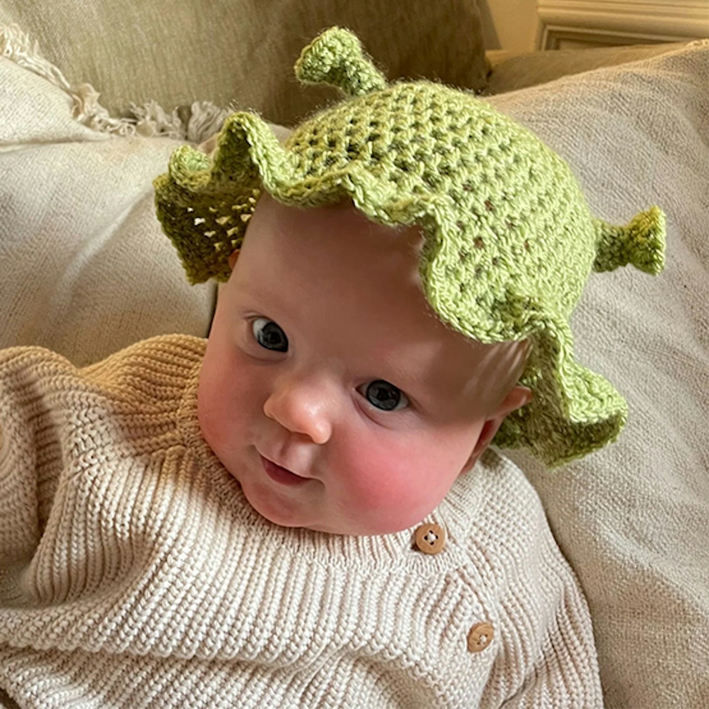 baby shrek hat