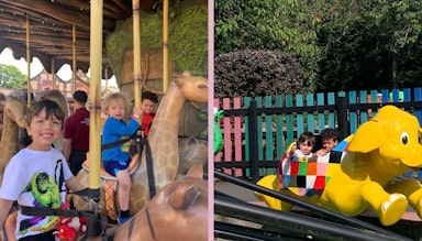 Chessington World of adventures Resort review by a solo mum