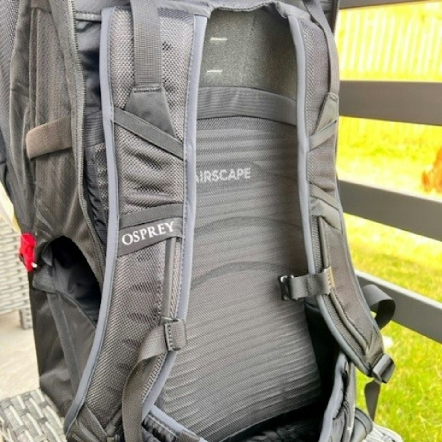 back view of the Osprey Poco LT Child Carrier, showing the straps