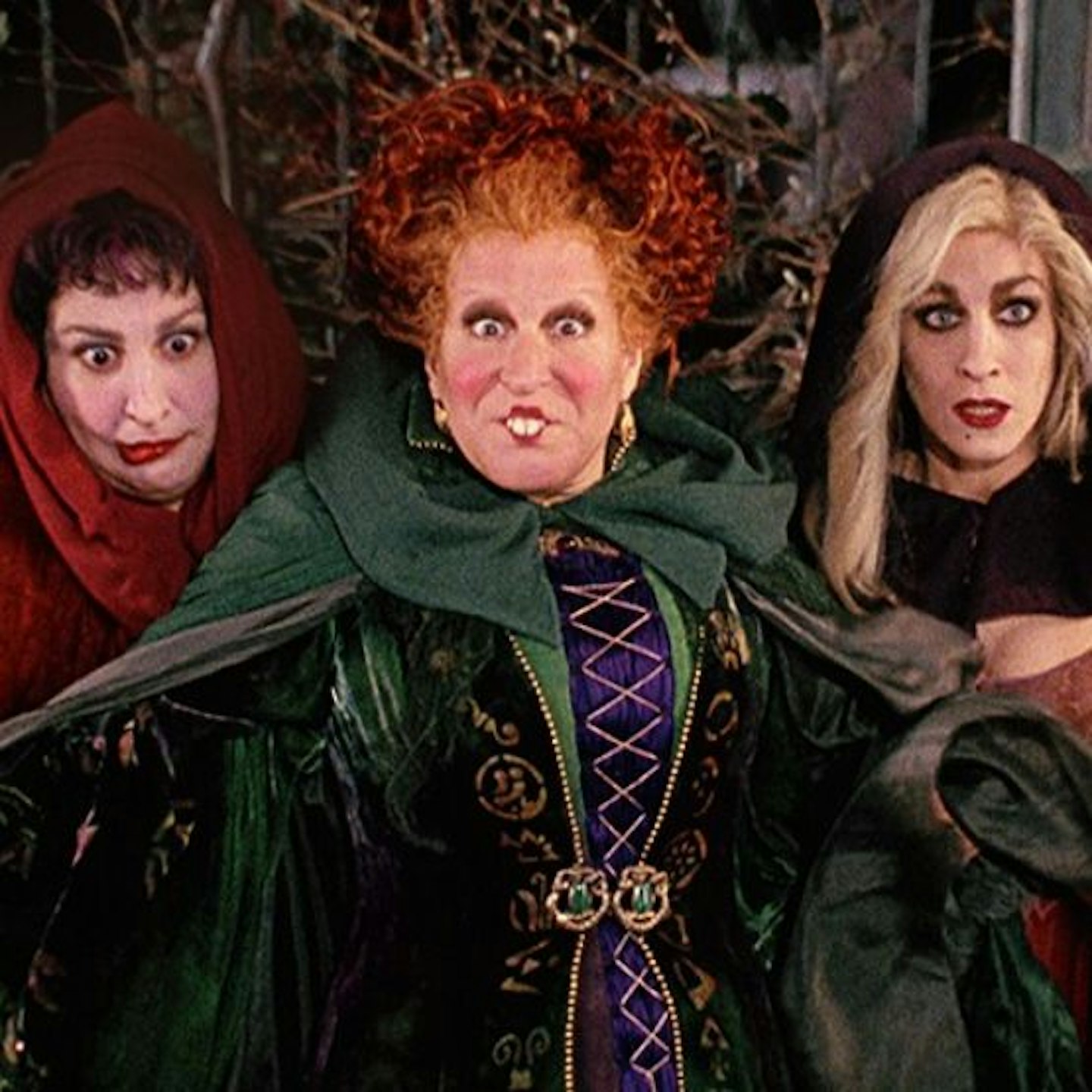 Hocus Pocus 1