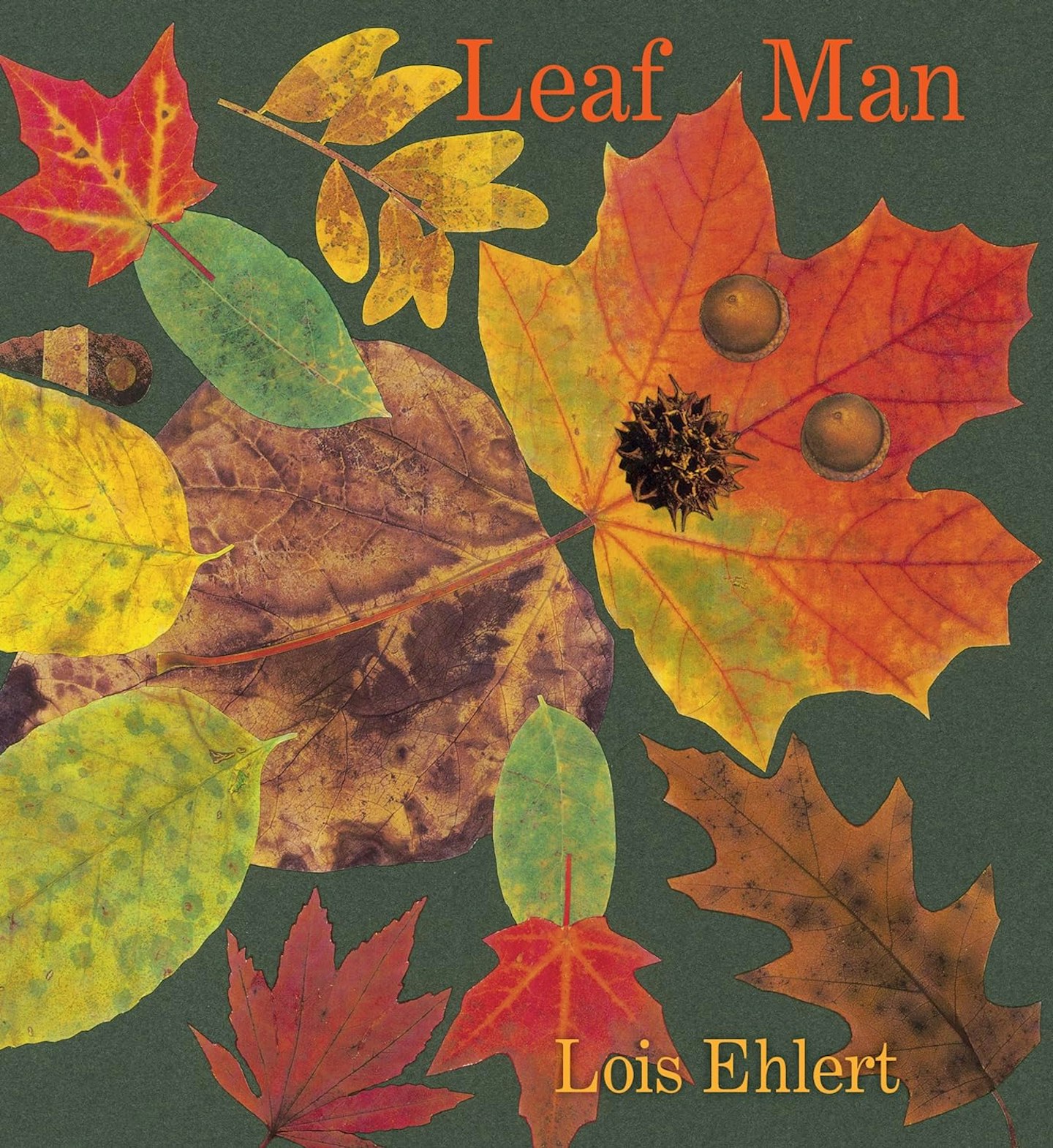 Leaf Man Children's board book