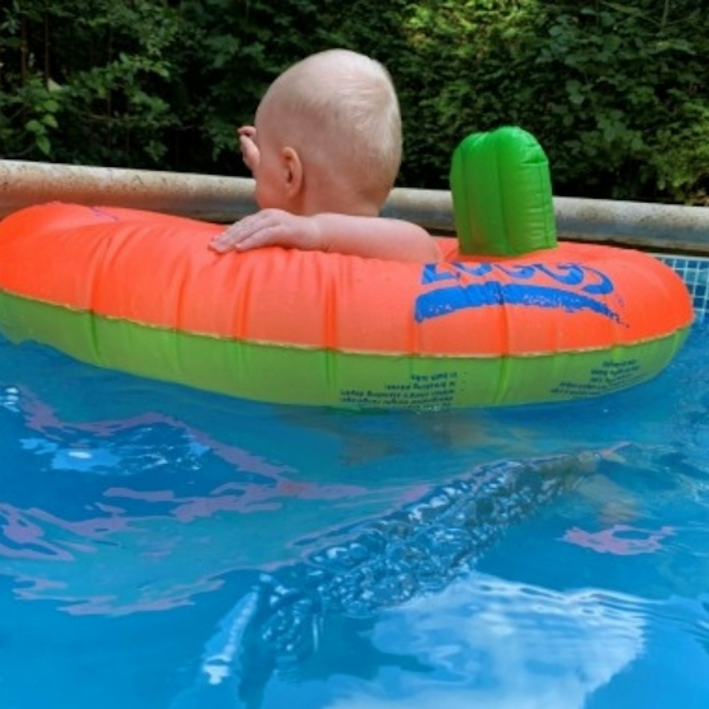 TODDLER USING Zoggs Trainer Swim Seat in pool