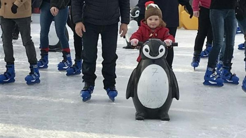 Ice Rode Fun The 16 best ice rinks for family fun 2026