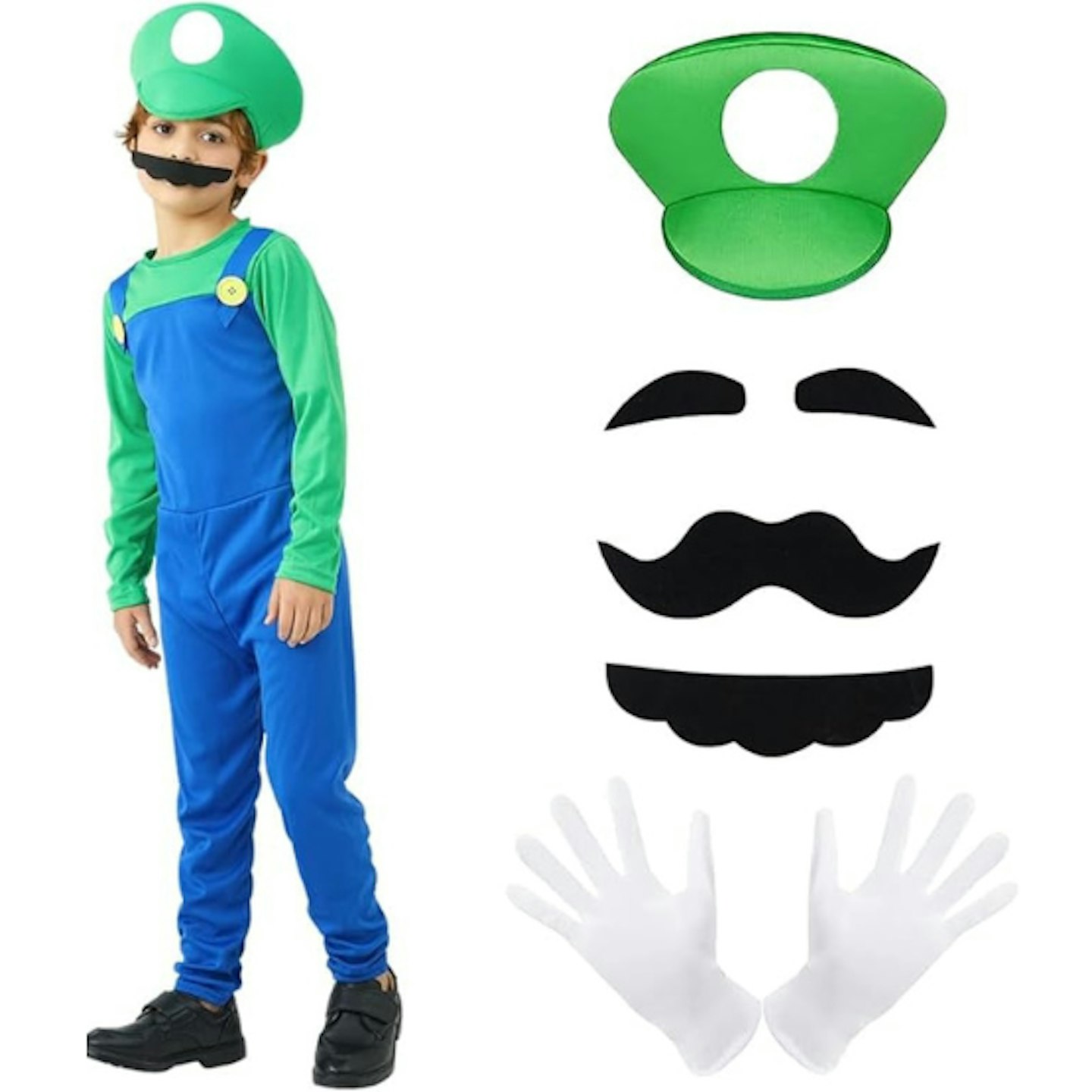 Luigi fancy dress costume