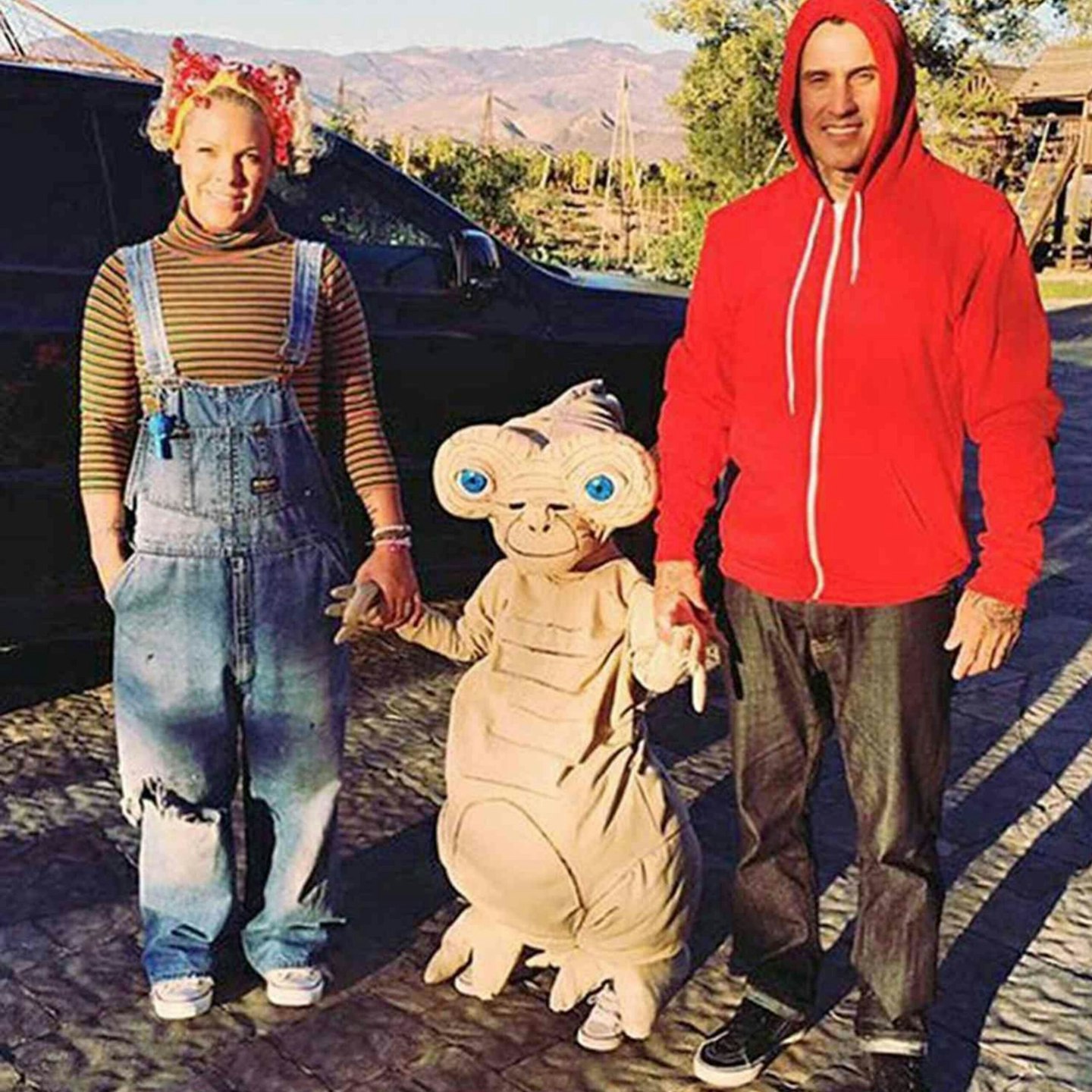 Pink & Carey Hart's E.T. Costume