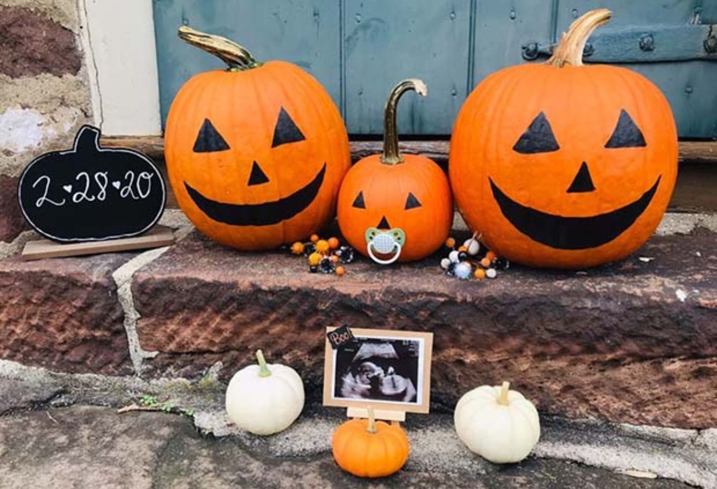 Pumpkin family