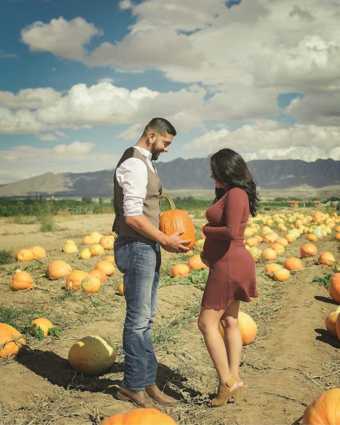 Pumpkin patch proposal