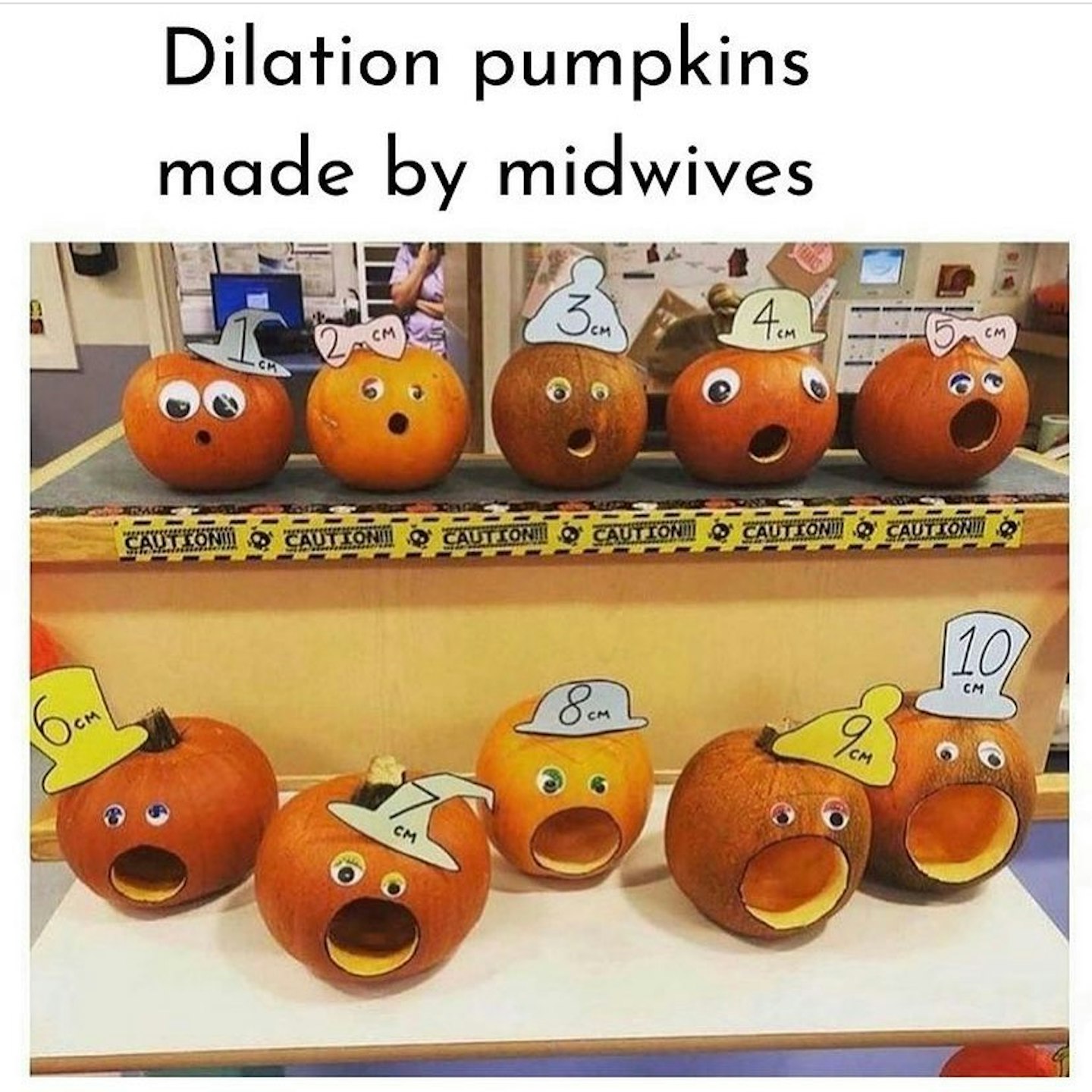 dilation pumpkins made by midwives