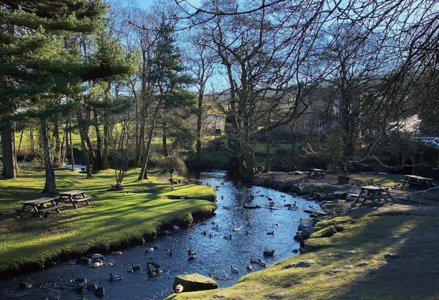 A river and picnic benches surrounded by trees on Damflask Reservoir Walk