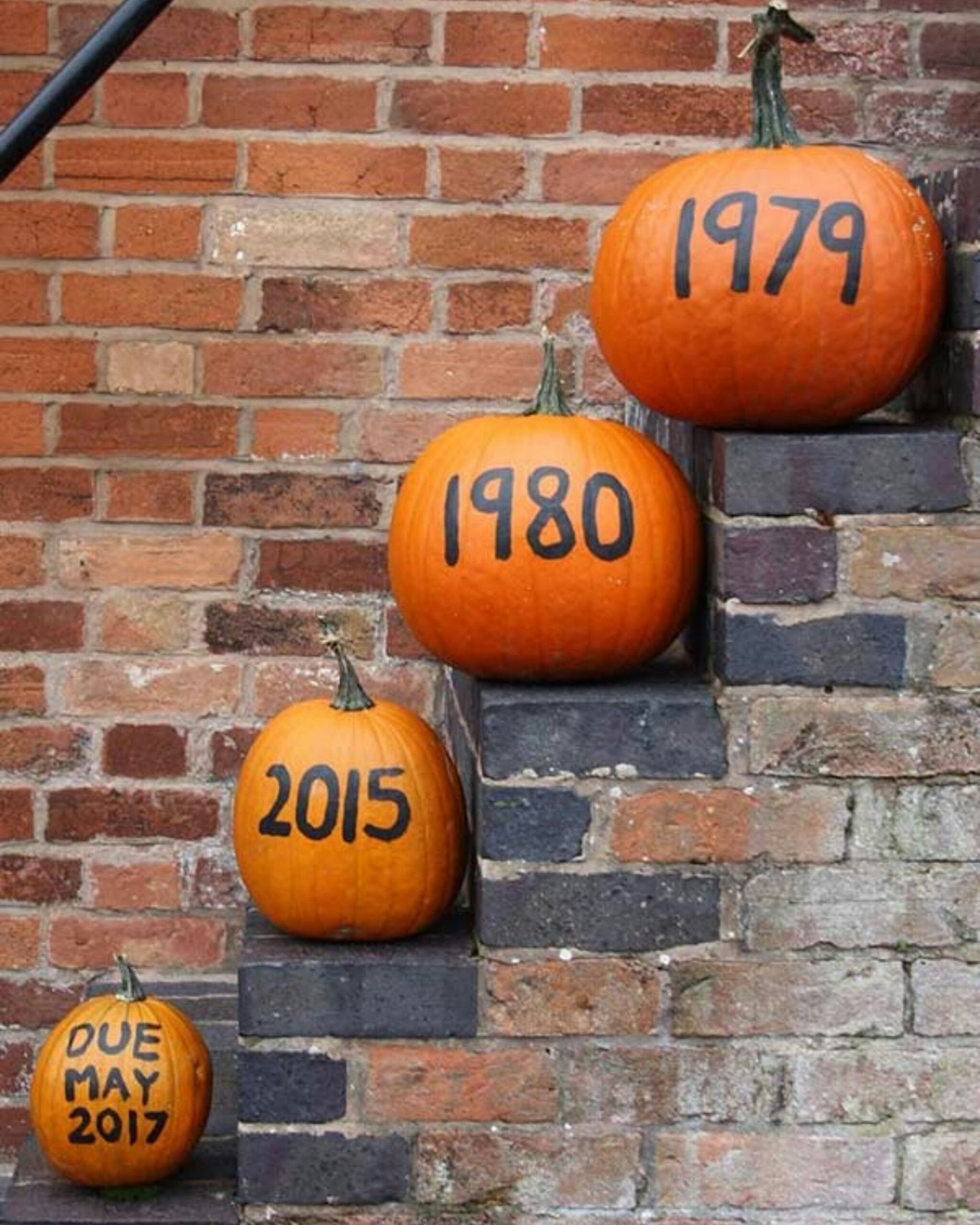 Creative pumpkin steps