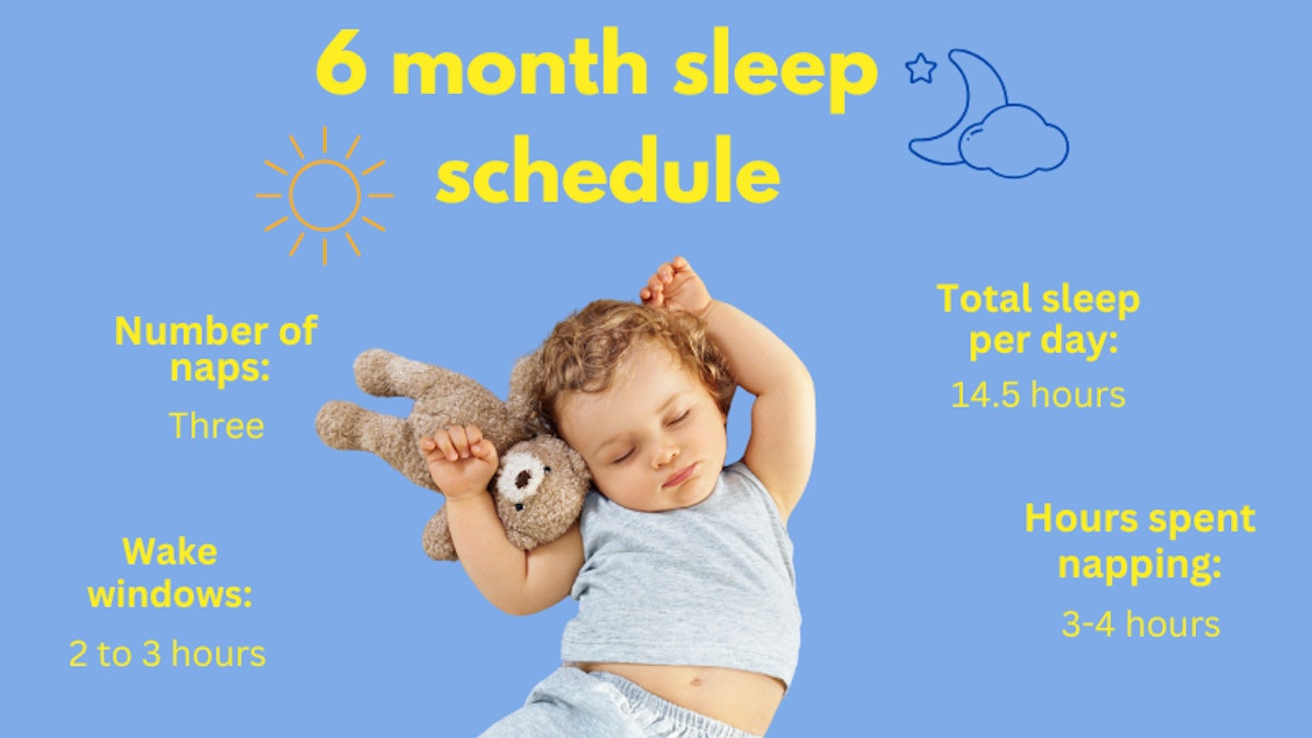 6 Month Baby Sleep Schedule 6-month-baby-sleep-schedule