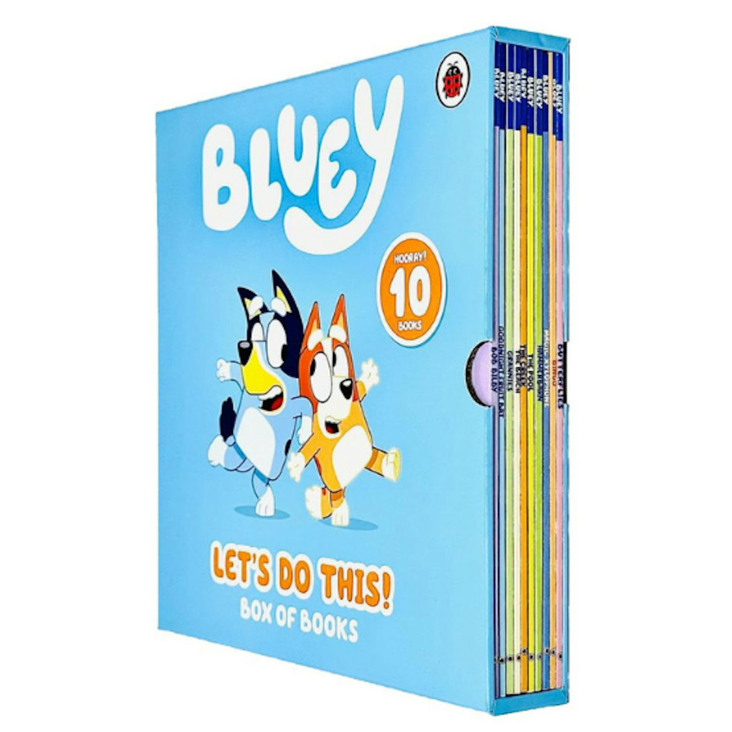 Bluey books