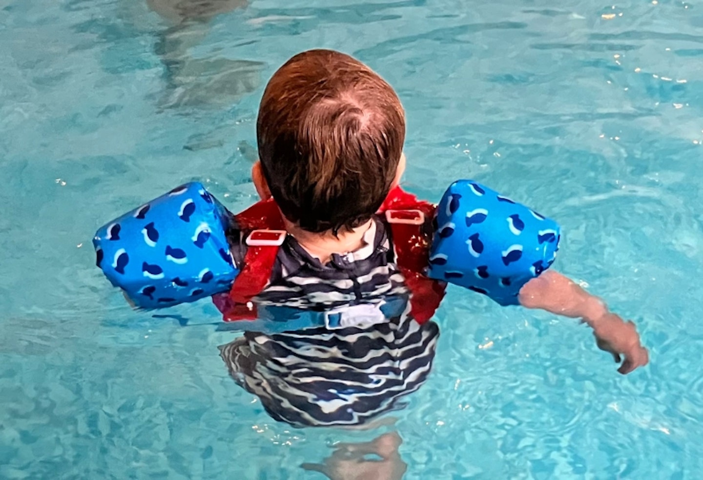 child wearing the Gogokids Toddler Swimming Float Vest