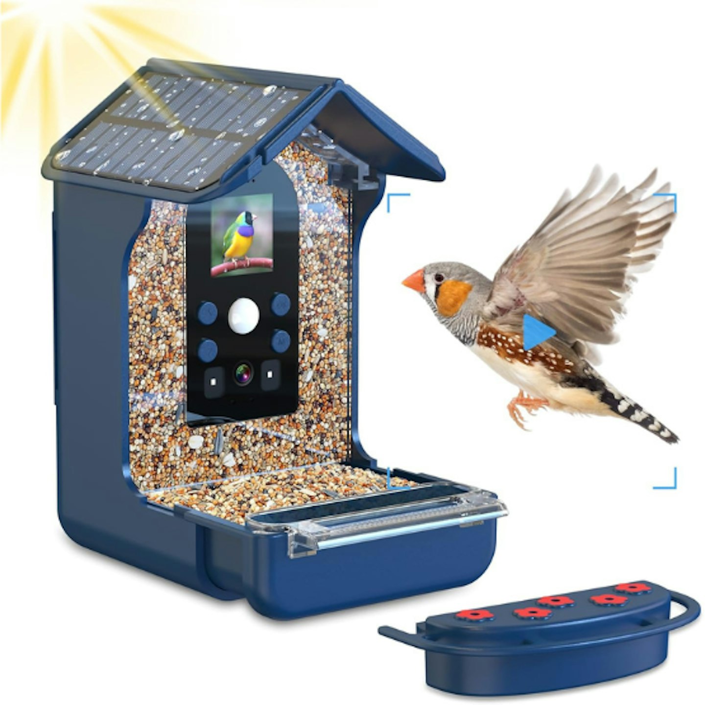 Birdfeeder with camera