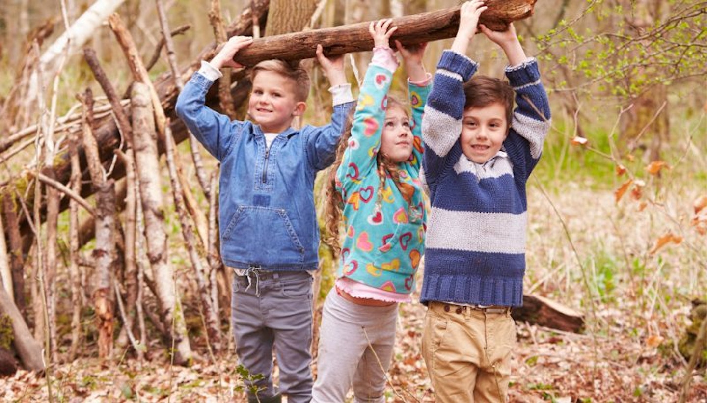 Children Building Camp In Forest Together