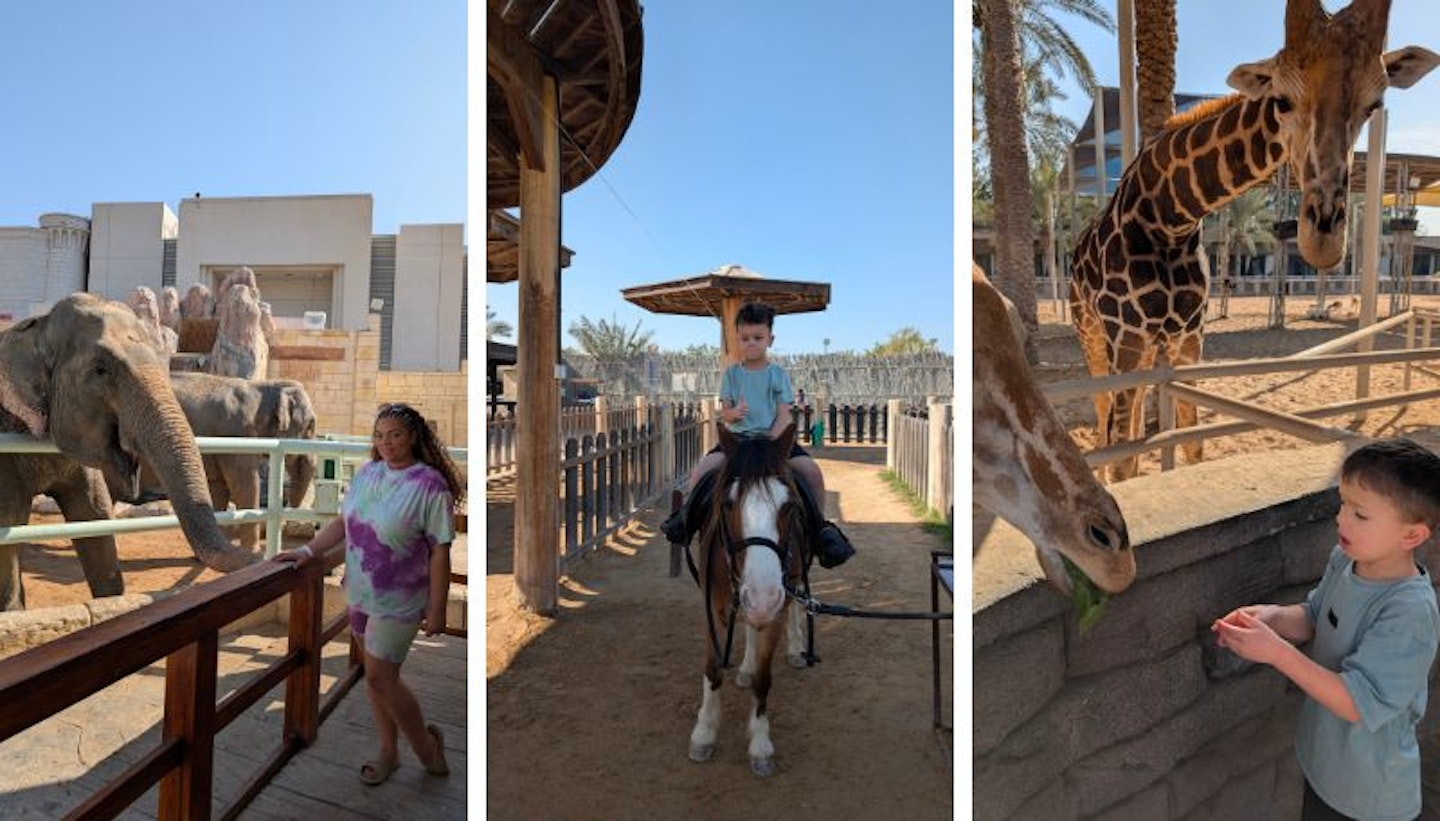 This is a collage of three photographs taken of Senior Digital Writer Hannah Carroll and her two sons. One picture shows a little boy riding a horse. The following image shows Hannah feeding a giraffe, and the final image shows Hannah with an elephant.