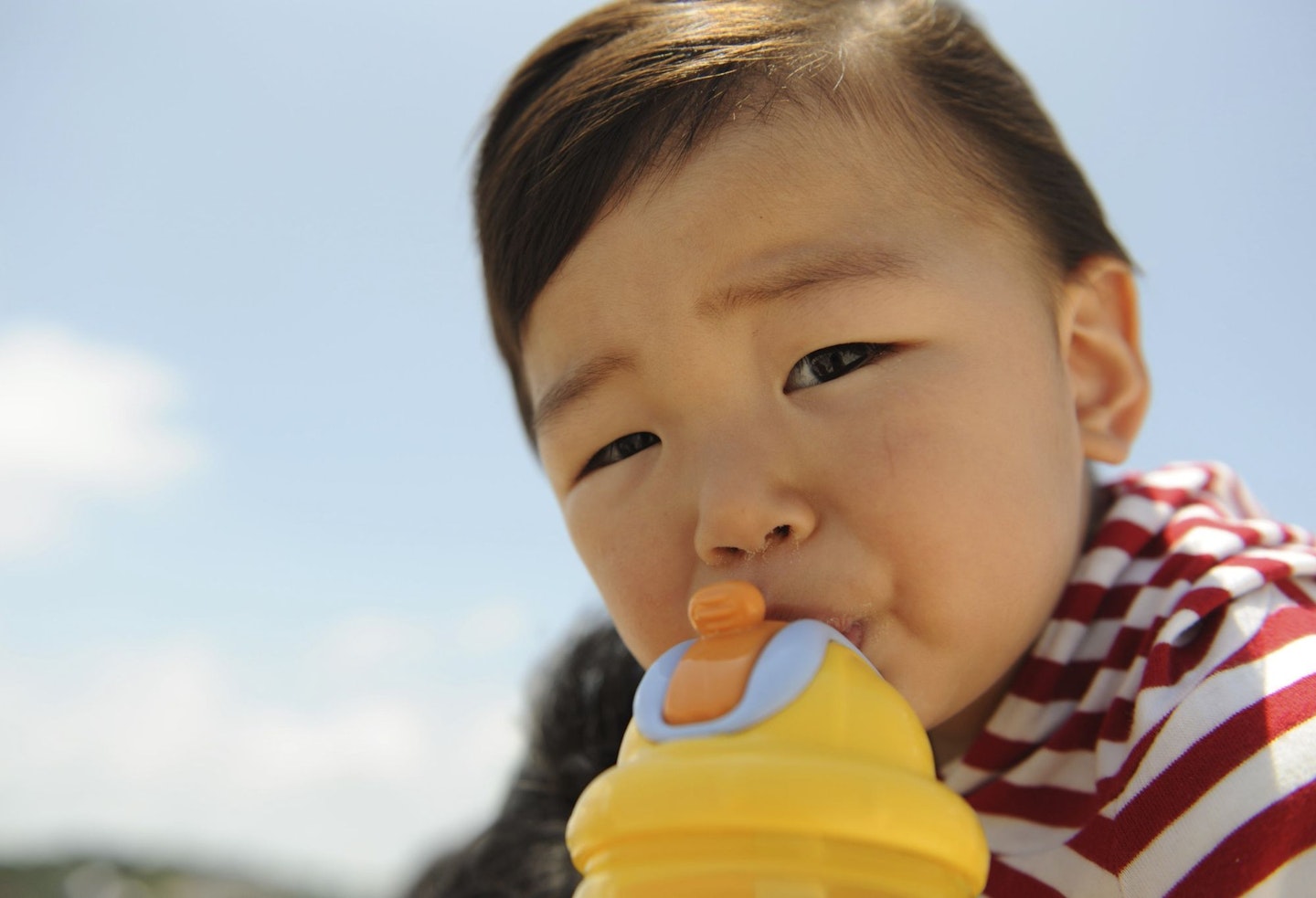 Portrait of a Young Child Drinking from a Yellow Sippy Cup