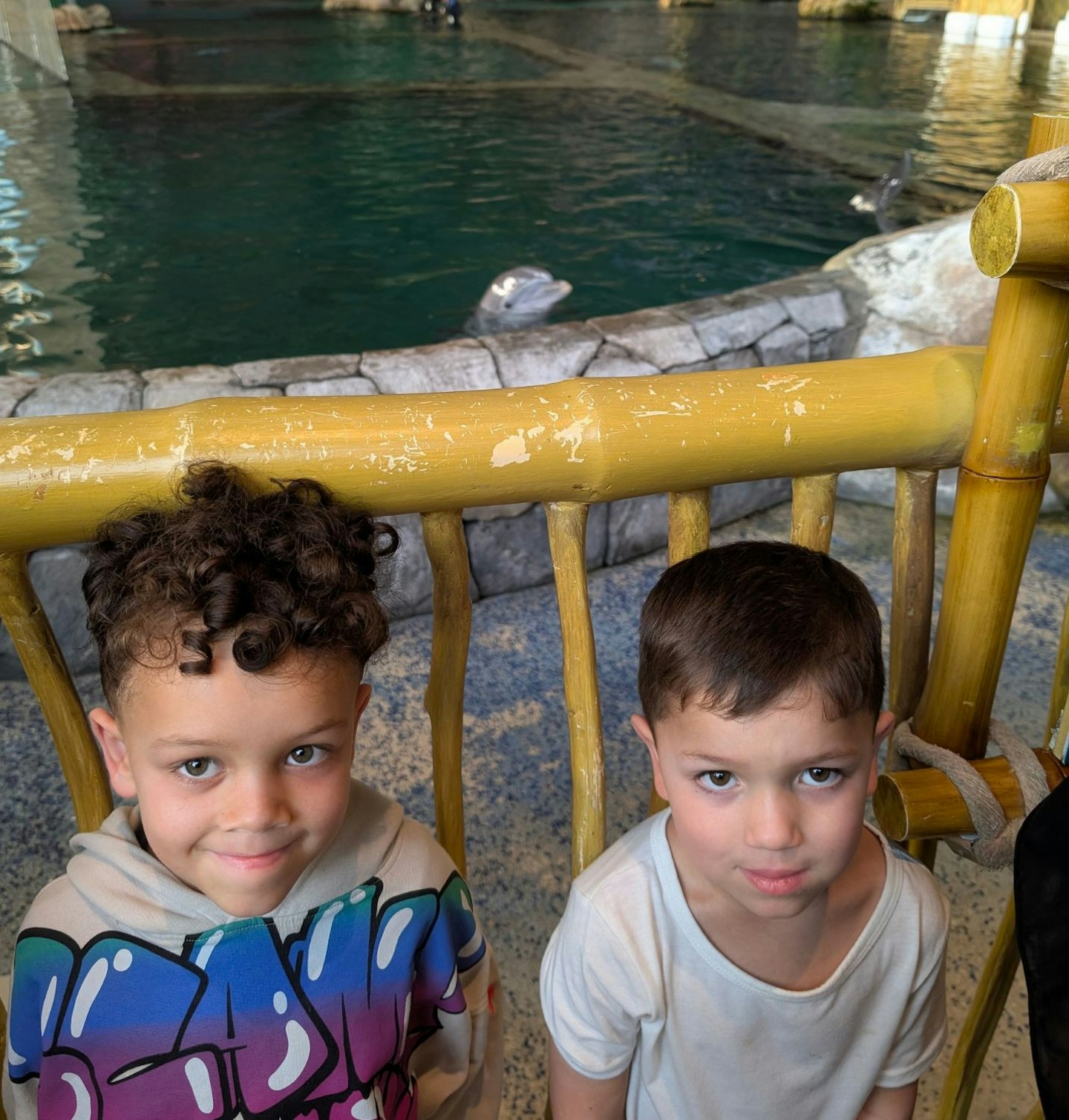 Two little boys at Sea World Abu Dhabi, posing for a photograph with a dolphin in the background.