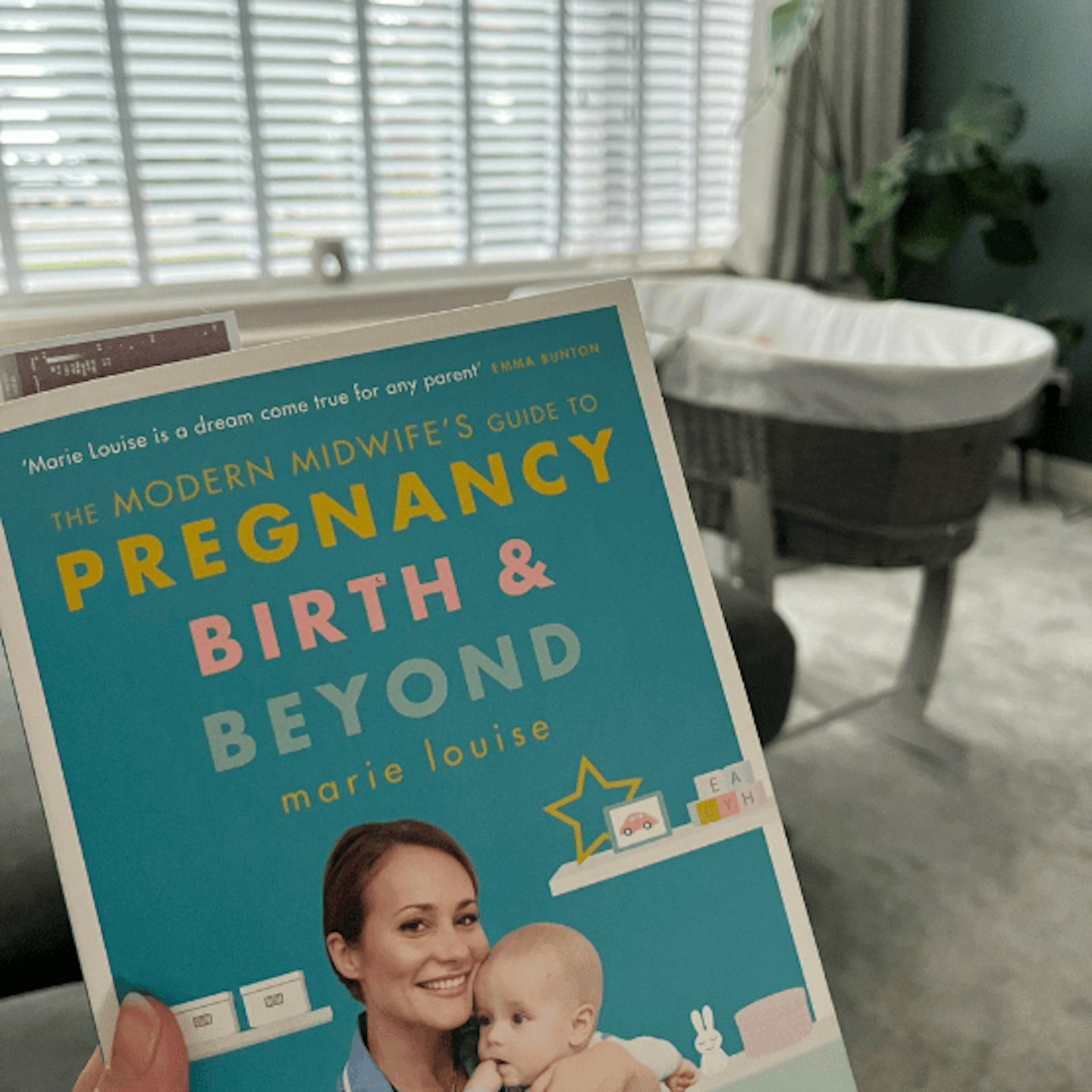 The Modern Midwifes Guide to Pregnancy, Birth & Beyond