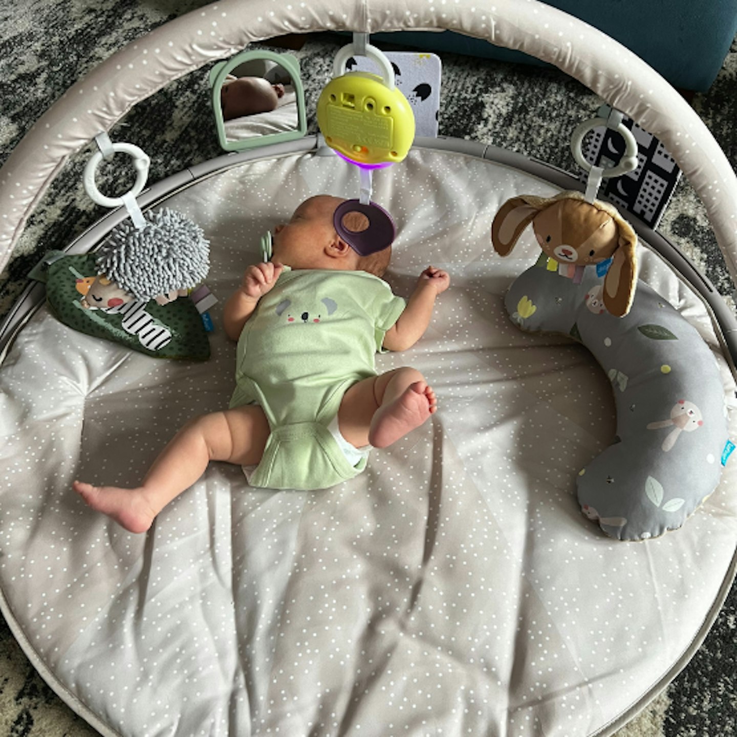 Taf Toys Tummy Time Activity Gym