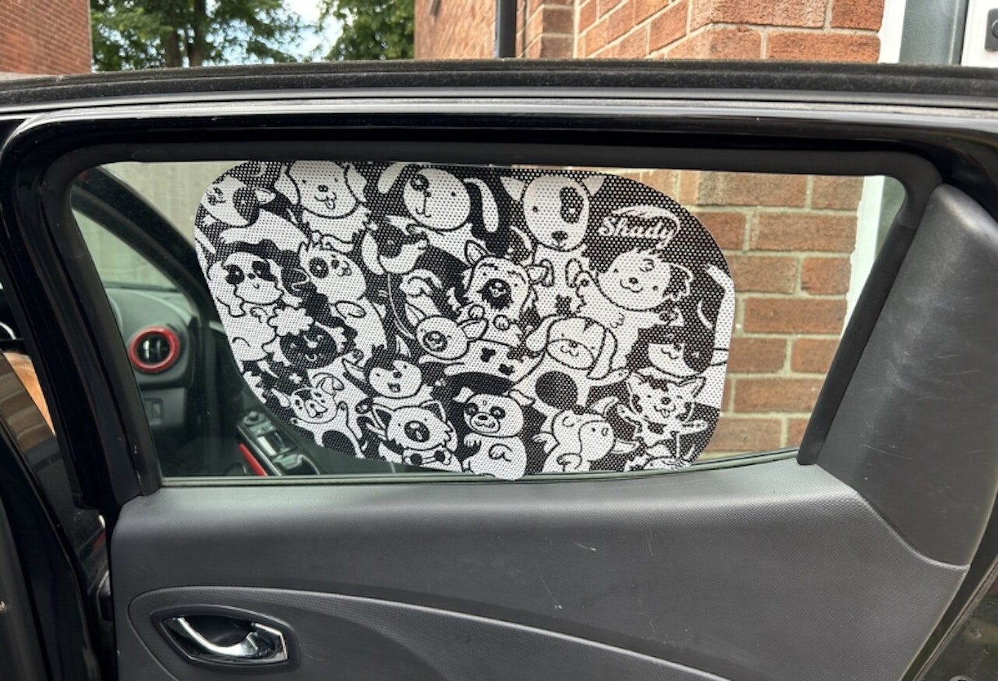 Shady Car Sunshade
