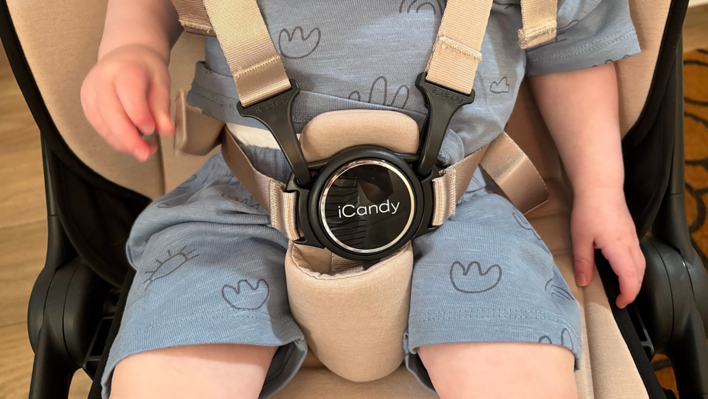 iCandy Pip harness