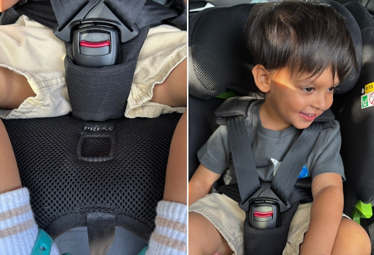 harness on a toddler in the Avionaut Stardust