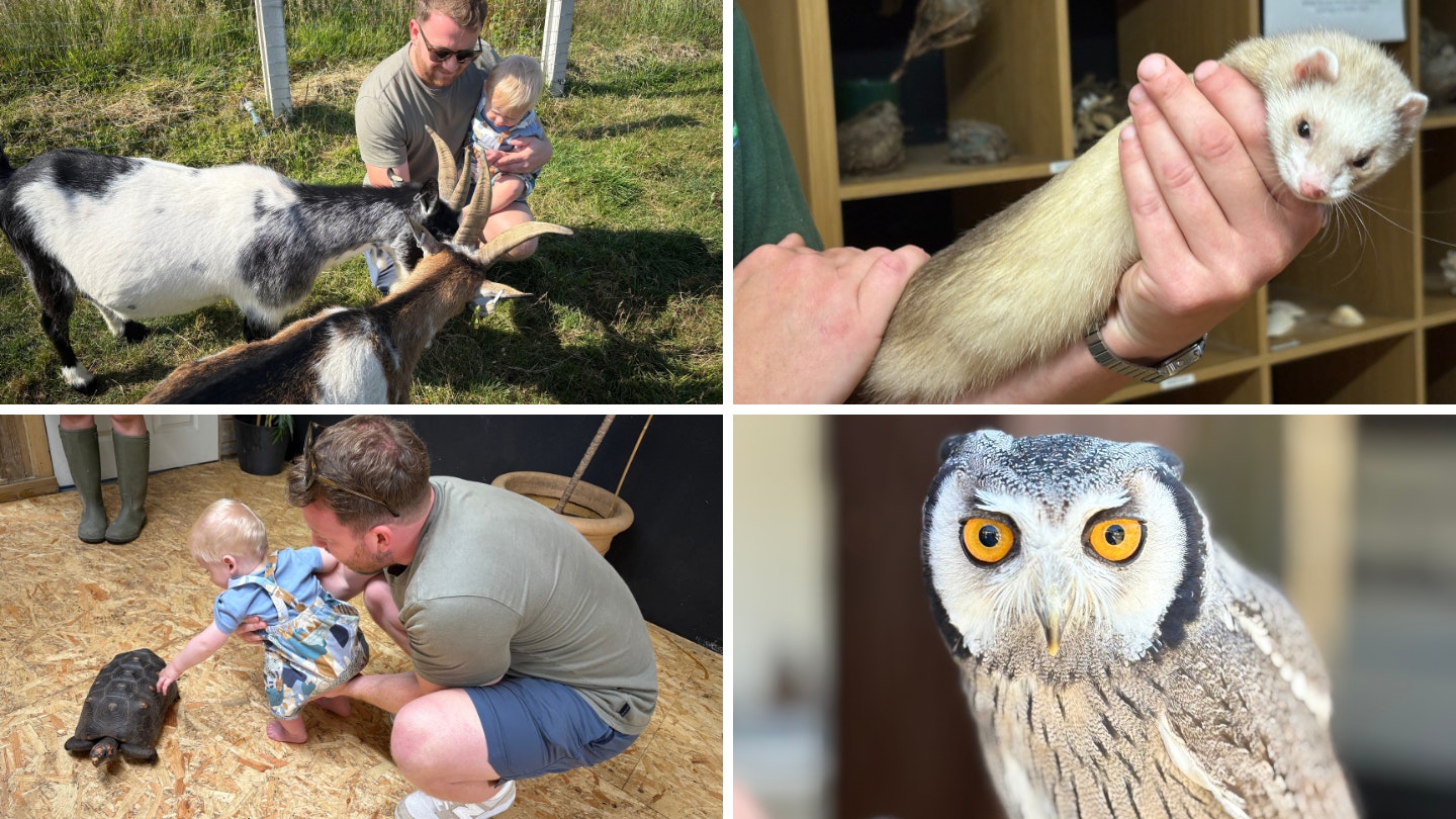 Feadon Wildlife centre