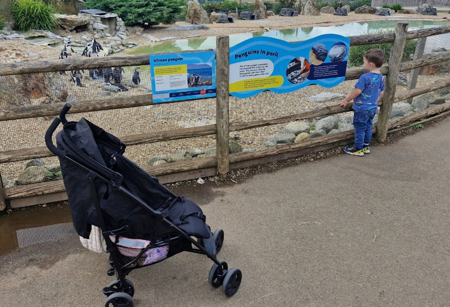 Graco EzLite at the zoo