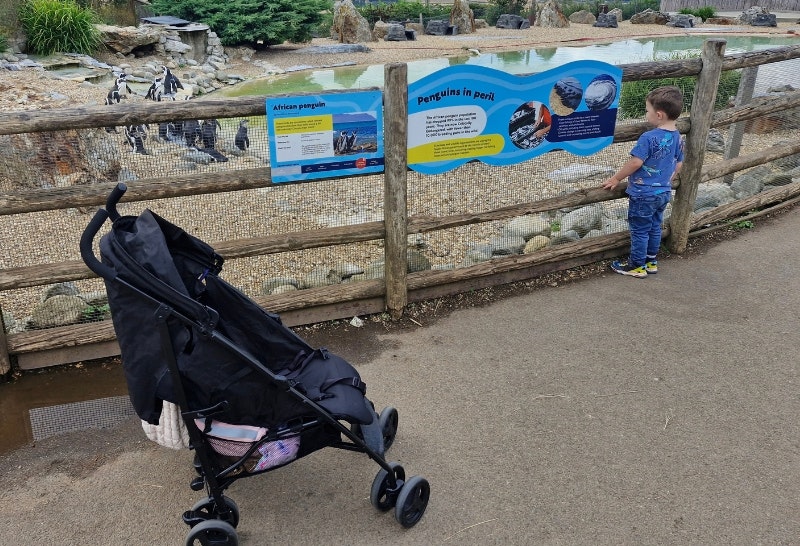 Graco EzLite at the zoo