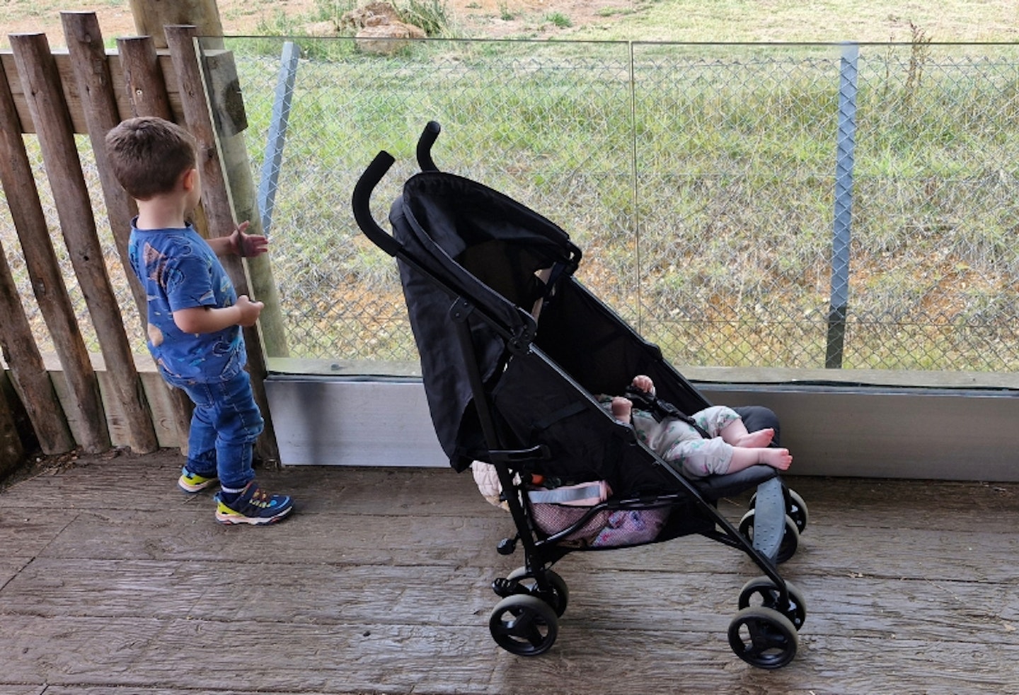 the Graco EzLite at the zoo