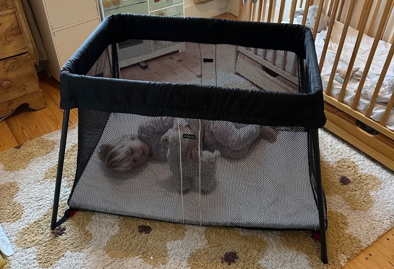 young child in the BabyBjorn Travel Cot Light