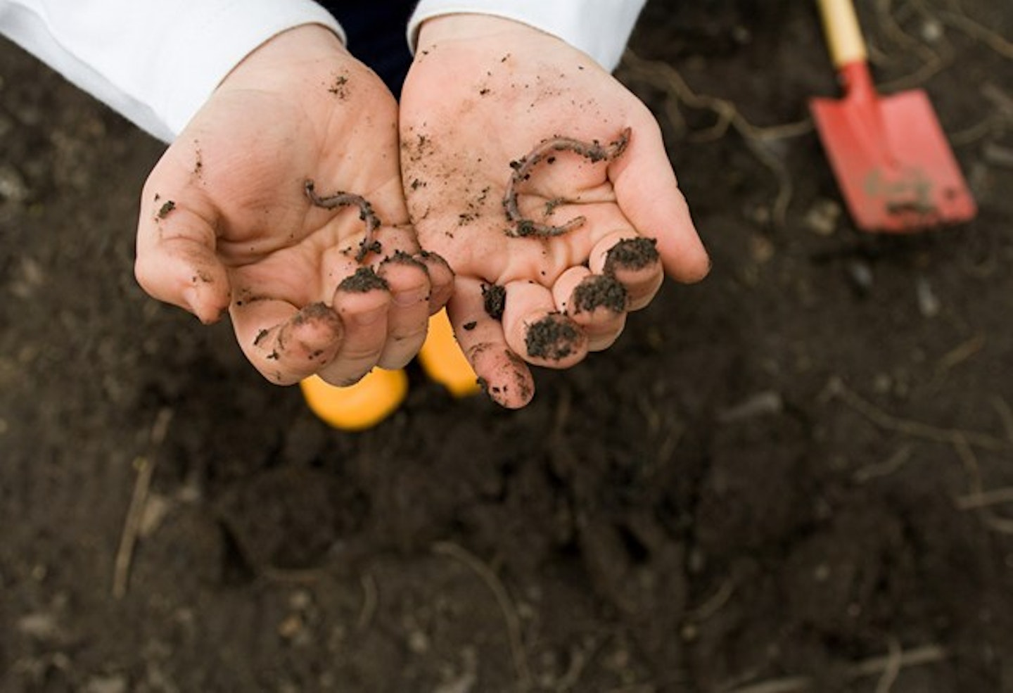 muddy hands