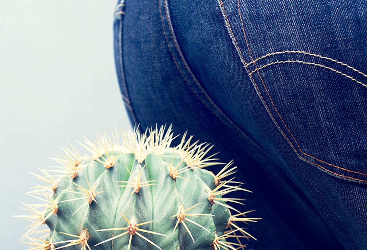 Haemorrhoids represented by a bum and a cactus