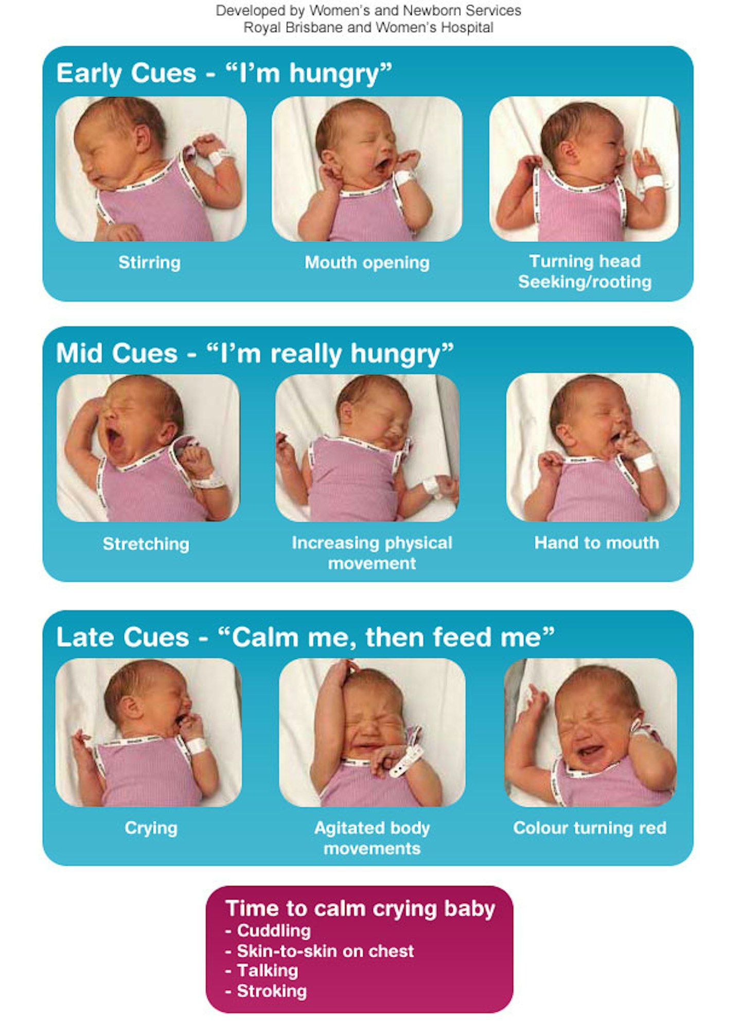 New Baby Tips – When, What, and How To Feed Your Baby