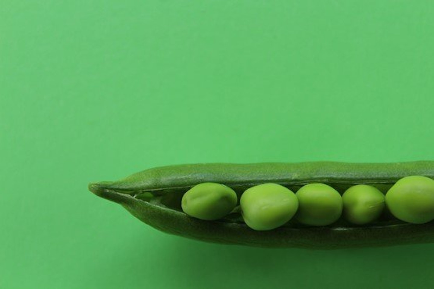 pea pod