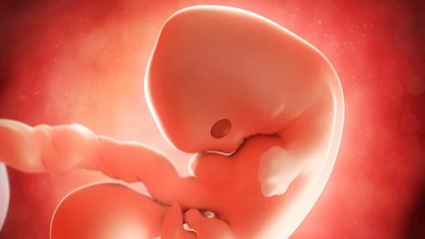 185-186 Вера-Эском