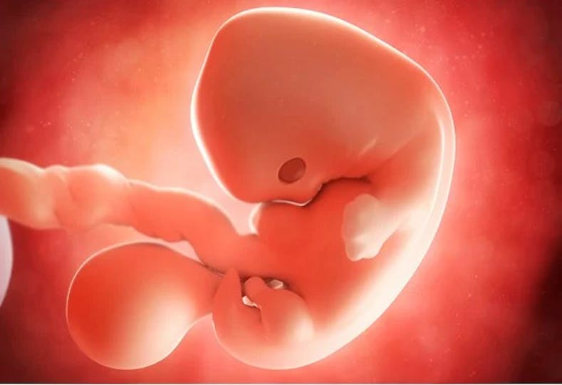7 weeks pregnant: symptoms, advice, and what to expect | Pregnancy ...