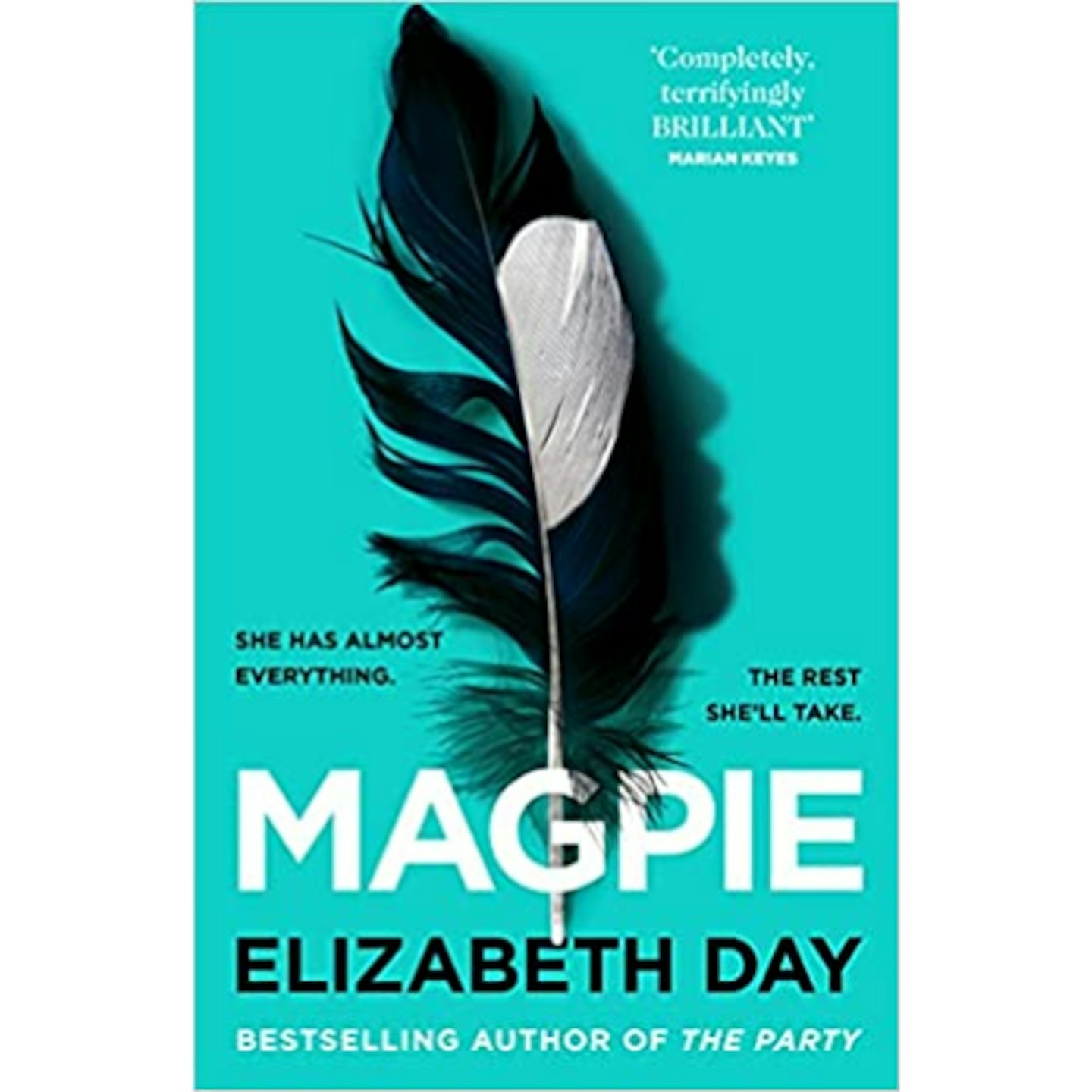 Magpie by Elizabeth Day