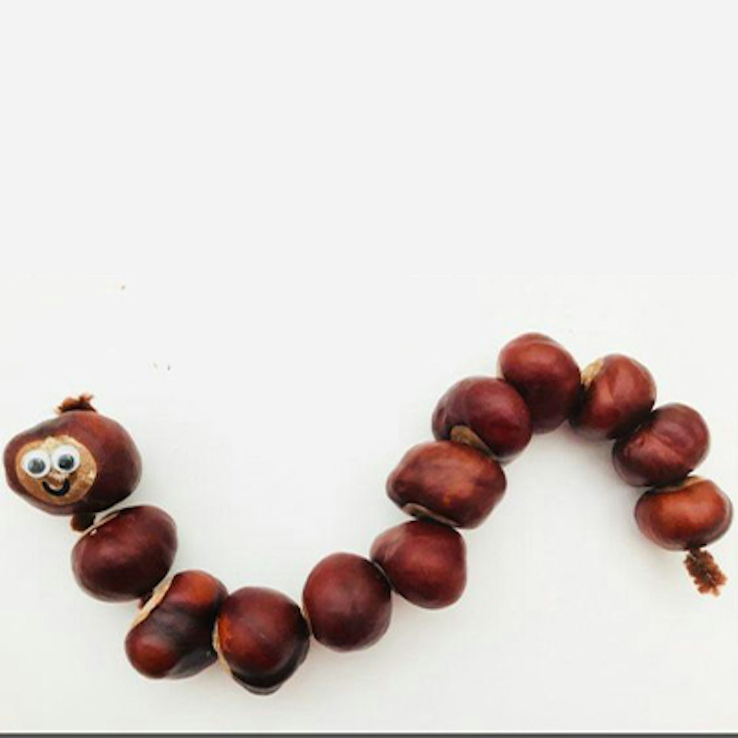 Conker-snake