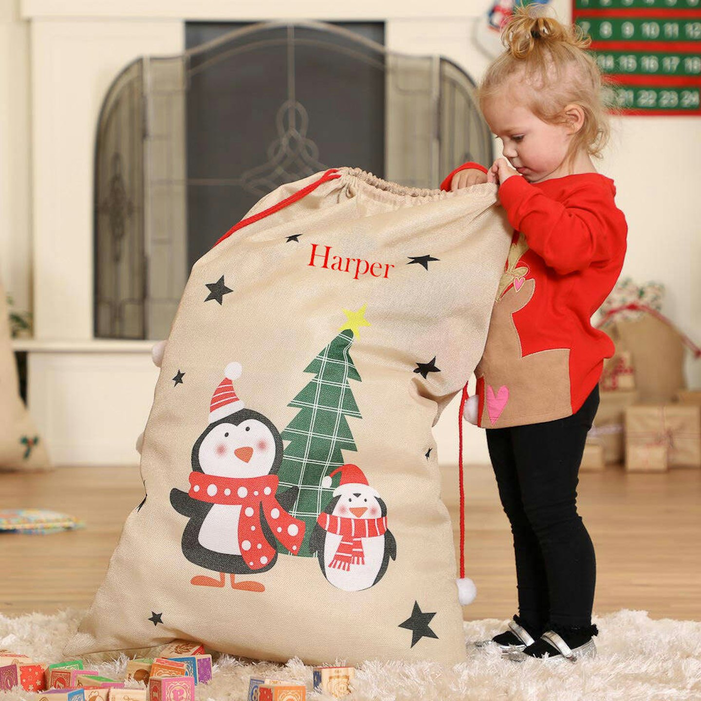 Large Christmas sack