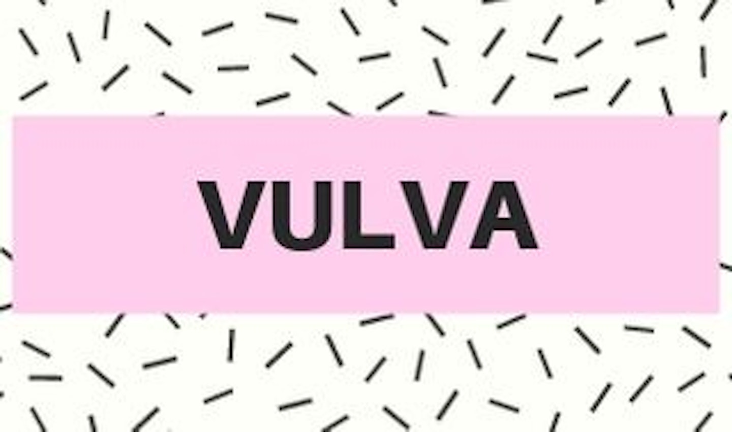 4) Vulva