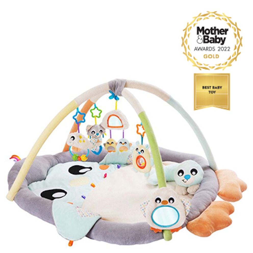 Best activity mats and baby play gyms 2023 Reviews Mother & Baby
