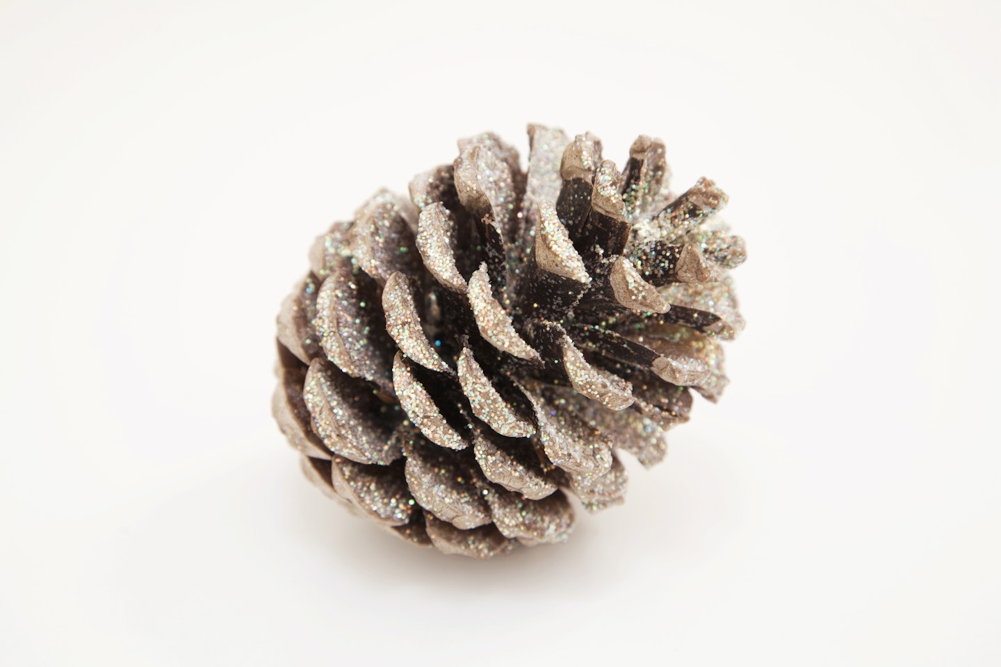 Pine cone with glitter